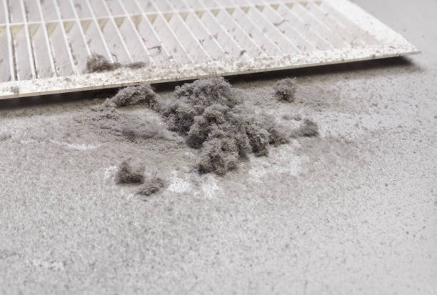 Best Ventilation Cleaning Services  in Mount Shasta, CA